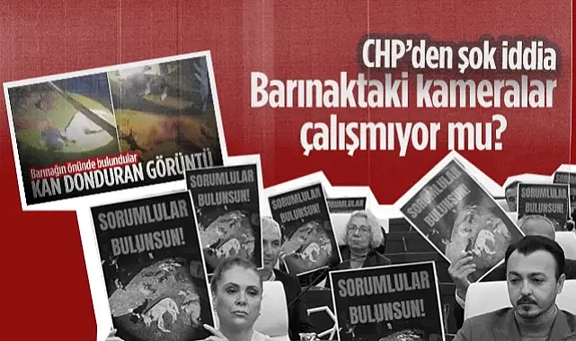 CHP'den Şok İddia! Hayvan Barınağındaki Kameralar Çalışmıyor mu?