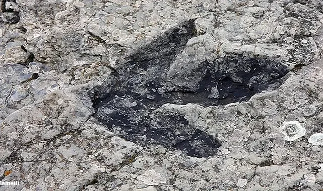 Çin’de Heyecanlandıran Keşif 200 Milyon Yıllık Dinozor Ayak İzleri Bulundu