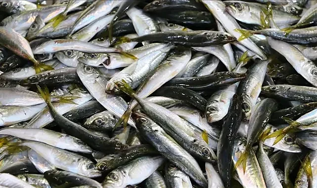 Doğu Karadeniz'de Fırtına Balık Tezgahlarını Vurdu