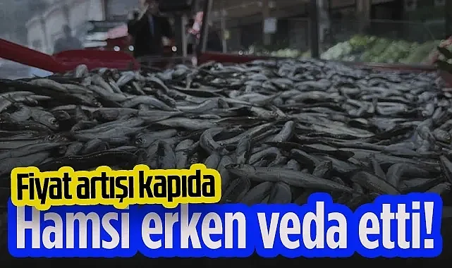 Hamsi Erken Veda Etti:Fiyat Artışı Kapıda