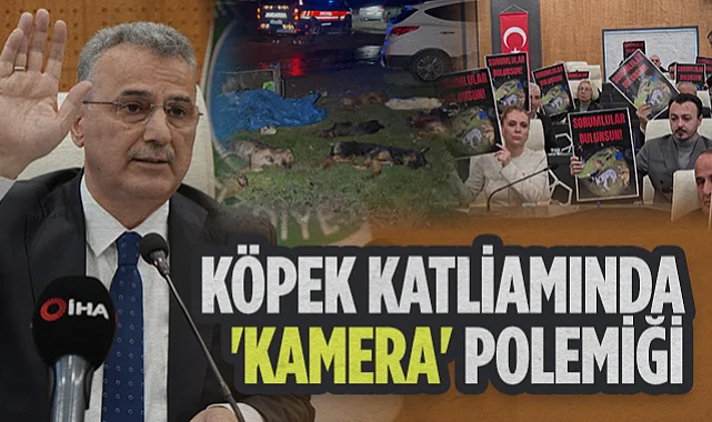 İlkadım Köpek Katliamında Kamera Polemiği: CHP Sordu, Başkan Kurnaz Cevapladı