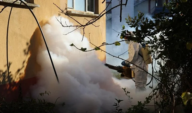 Kahverengi Kokarca Kışlak Mücadelesi Sürüyor