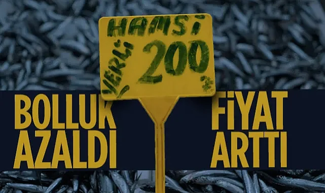 Karadeniz Hamsisi Zirveye Çıktı: Kilo Fiyatı 50 TL’den 200 TL’ye Fırladı