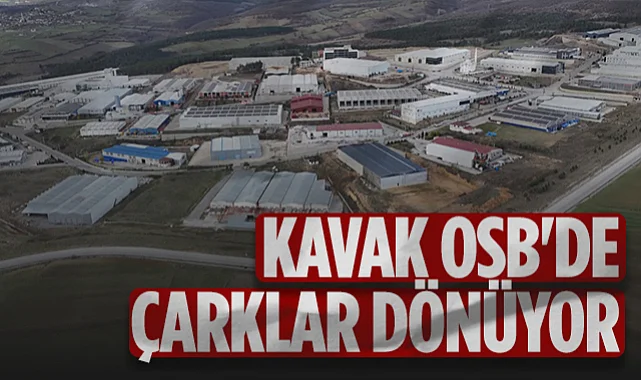 Kavak OSB'de Çarklar Dönüyor: İstihdam 1350 Kişi, İhracat 18 Ülkeye Ulaştı
