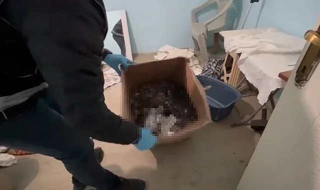 Samsun'da 13 bin 552 Uyuşturucu Hap Ele Geçirildi