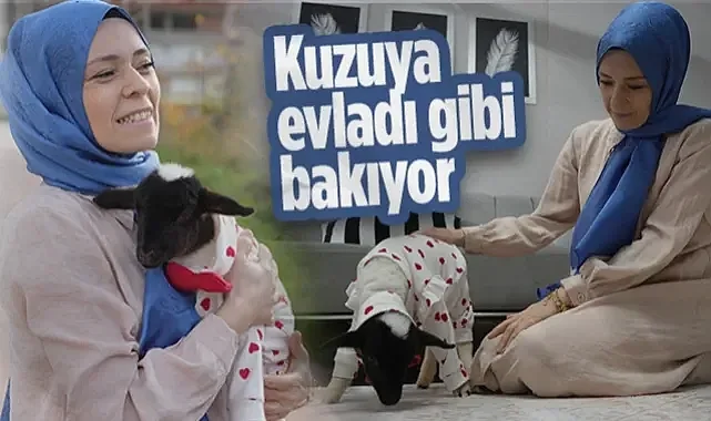 Samsun'da Hayvan Sevgisinin En Saf Hali: Annesi Ölen Kuzuyu Evladı Gibi Besliyor