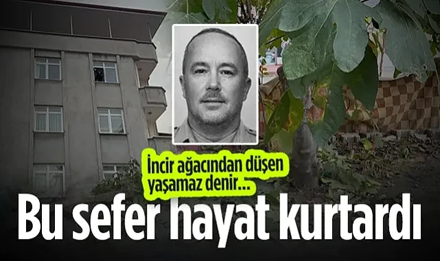 Samsun'da Pencereden Düşen Adamı İncir Ağacı Kurtardı