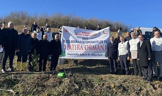 Samsun'da Yeşil Seferberlik: Kooperatifler Yılı Anısına 350 Fidan Dikildi