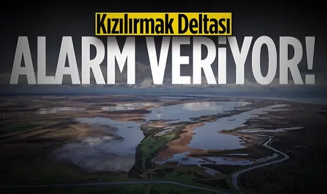 Kızılırmak Deltası Alarm Veriyor: Su Seviyesinde Ciddi Düşüş Gözlemlendi