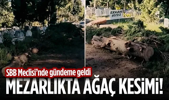 Samsun Mezarlıklarındaki Ağaç Kesimi Tartışması Meclise Taşındı