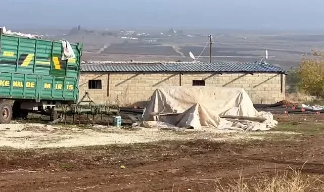 Şanlıurfa’da Ahırdan Kripto Tesis Çıktı: Günlük 40 Bin kWh Kaçak Elektrik Tüketimiyle 1500 Hanenin Enerjisi Çalındı 