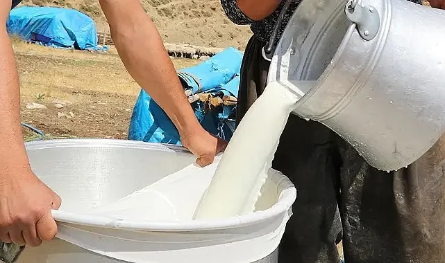 Süt Tüketimine Uzman Uyarısı: Sağlığınız Açısından Oldukça Tehlikeli