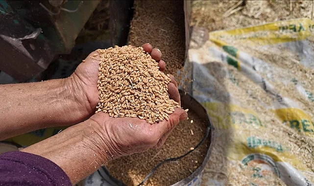 TMO'dan Gıda Arzı Müjdesi: Stoklar Yeni Hasat Dönemine Kadar Yetecek