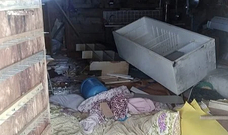 Trabzon Çaykara’da ayı saldırıları: Kar yağışına rağmen uyumayan ayılar evlere büyük maddi hasar verdi