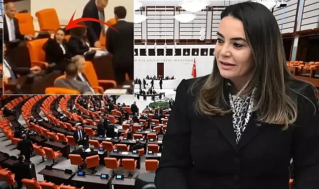 Türkeş'in Kızı Ayyüce Türkeş Taş'ın Öcalan Sözleri Meclis'i Karıştırdı