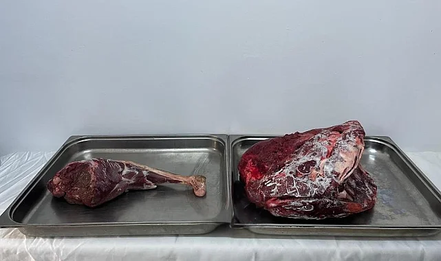 Yasa Dışı Av ve Uyuşturucu Operasyonuna Dev Ceza