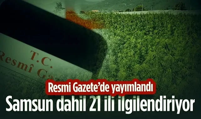 Resmi Gazete'de Yayımlandı: Samsun Dahil 21 İlde Üretimi Serbest Oldu