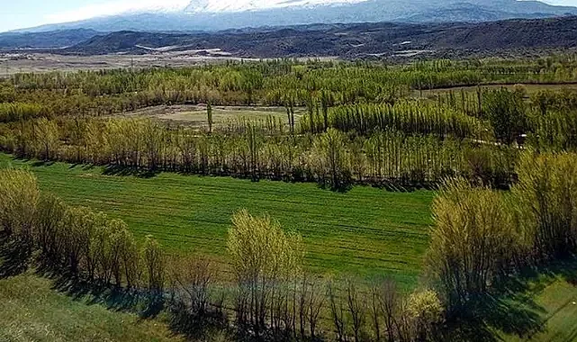2B Arazileri İçin Müjde: Başvuru ve Ödeme Süresi Uzatılıyor