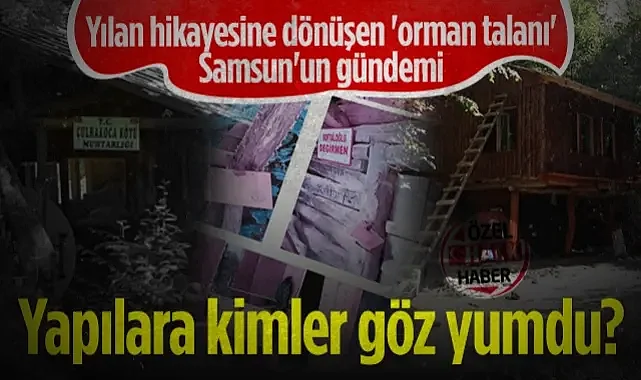 Yılan Hikayesine Dönüşen 'Orman Talanı' Samsun'un Gündemi! Yapılara Kimler Göz Yumdu?