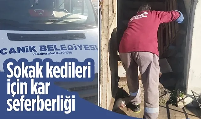 Canik Belediyesi'nden Sokak Kedileri İçin Kar Seferberliği