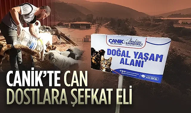 Canik'te Can Dostlara Şefkat Eli: Doğal Yaşam Alanı Örnek Oluyor