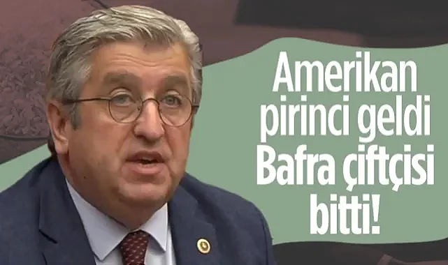 CHP'li Murat Çan'dan Sert Çıkış: Amerikan Pirinci Geldi, Bafra Çiftçisi Bitti!
