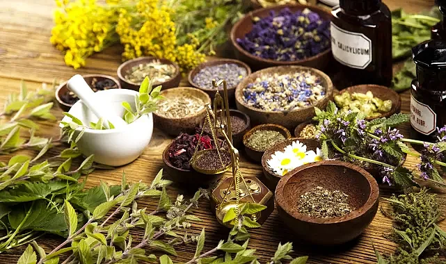 Hangi Bitki Çayı Neye İyi Gelir? Şifa Kaynağı Çaylar ve Faydaları