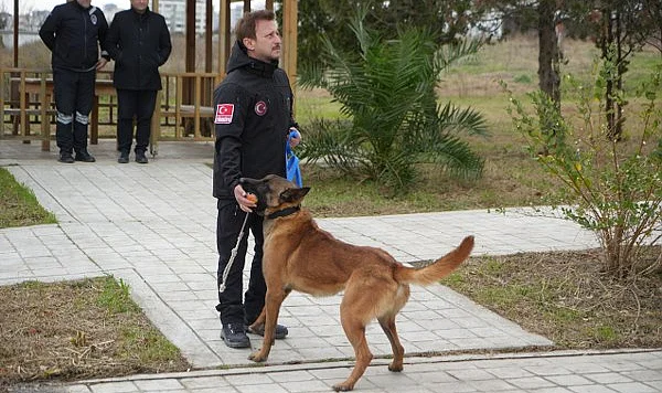 OMÜ’de Yetişti, Emniyete Teslim Edildi: Görev Köpeği Pars Göreve Başlıyor