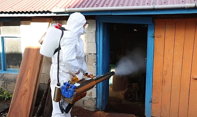 Orduda Kokarca Avı: 300 Bin Noktada Dev İlaçlama Seferberliği