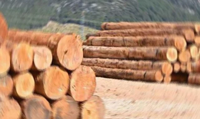Orman Emvali İstifleme Hizmeti Alınacaktır