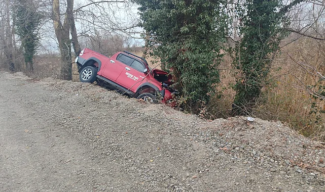 Samsun Bafra'da Pikap Ağaca Çarptı: 2 Yaralı
