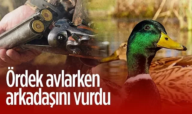 Samsun'da Av Kazası: Ördek Avında Arkadaşını Kazara Yaraladı