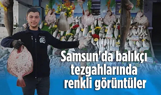 Samsun'da Balık Tezgahları Şenlendi: 40 Çeşit Balık Vitrinde