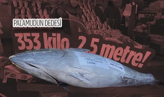 Samsun'da Dev Orkinos Heyecanı: 353 Kilo, 2.5 Metre! 