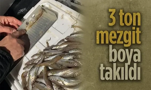 Samsun'da Kaçak Avcılık Operasyonu: 3 Ton Mezgit Ele Geçirildi