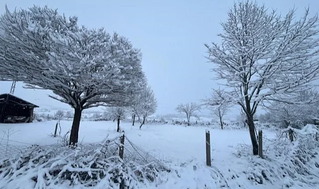 Samsun Kavak’ta Kar 20 Santimetreye Ulaştı