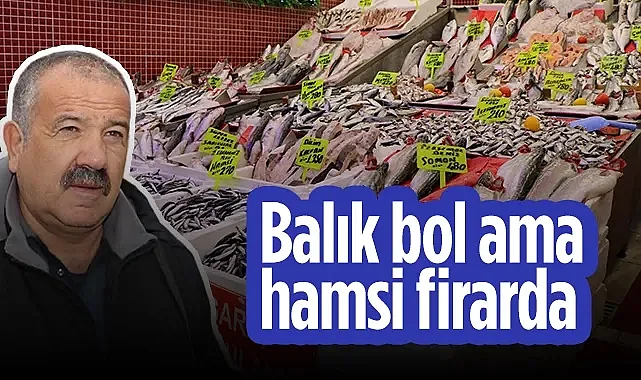 Samsun Su Ürünleri Kooperatifleri Birliği Başkanı Atıf Malkoç: Balık Bol Ama Hamsi Firarda