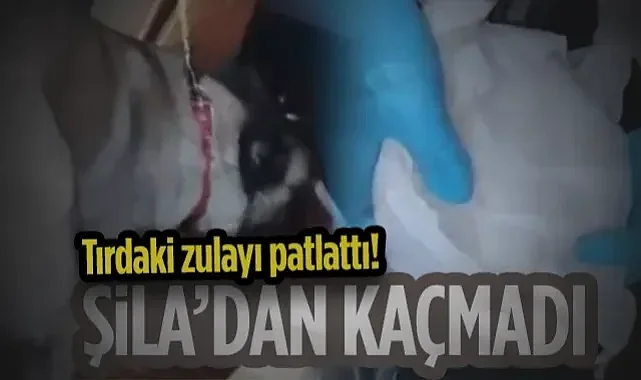 Şila'dan Kaçmadı Tırdaki Zulayı Patlattı