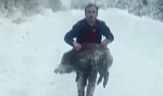 Yavru Domuzu Yakalayan Yılmaz'ın, Viral Olan Görüntüleri Pahalıya Patlamıştı: Cezası İptal Edildi