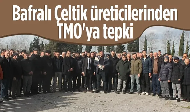 Bafra Çeltik Üreticilerinden TMO'ya Tepki