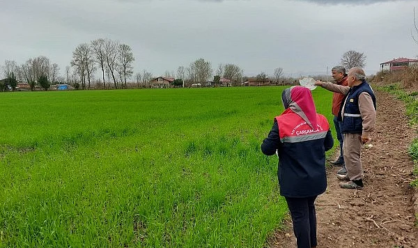 Çarşamba’da Tarımsal Gelecek Mercek Altında: Fenolojik Gözlem ve Tohum Desteği