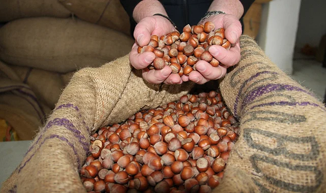 Çarşamba Ticaret Borsası 2025 İşlem Hacmi Rekoru