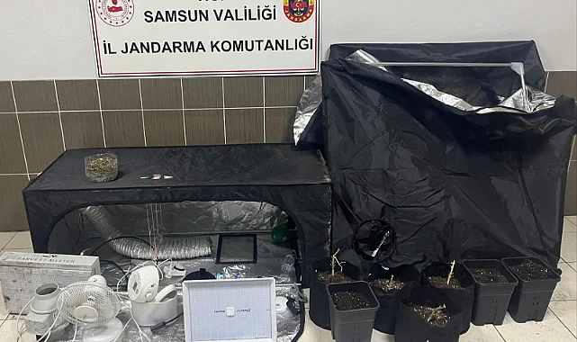 Çarşamba'da Jandarmadan Zehir Tacirine Şafak Baskını