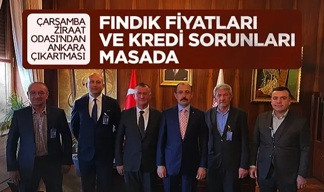Çarşamba Ziraat Odasın'dan Ankara Çıkartması: Fındık Fiyatları ve Kredi Sorunları Masada