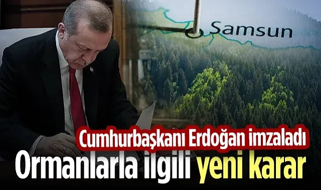 Cumhurbaşkanı Erdoğan İmzaladı: Samsun Dahil 21 İlde Ormanlarla İlgili Yeni Karar 
