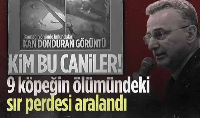 İlkadım'da 9 Köpeğin Ölümündeki Sır Perdesi Aralandı