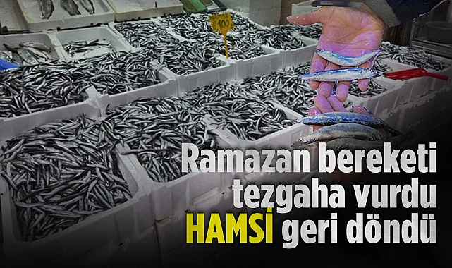 Karadeniz'de Hamsi Bereketi: Fiyatı Düştü