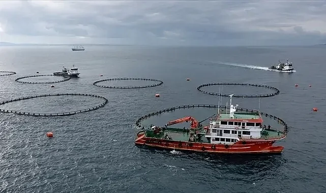 Karadeniz Su Ürünleri İhracatında Rekor Artış: 28 Milyon Dolar