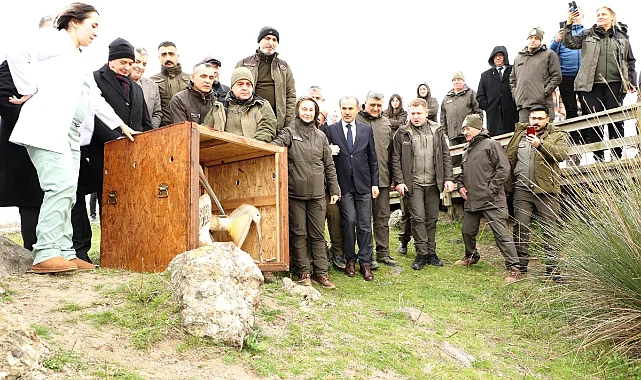 Kızılırmak Deltası’nda 10 Yılda 81 Binden Fazla Kuş Kayıt Altına Alındı