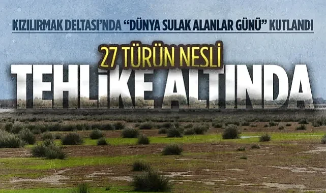 Kızılırmak Deltası'nda "Dünya Sulak Alanlar Günü" Kutlandı: 27 Türün Nesli Tehlike Altında